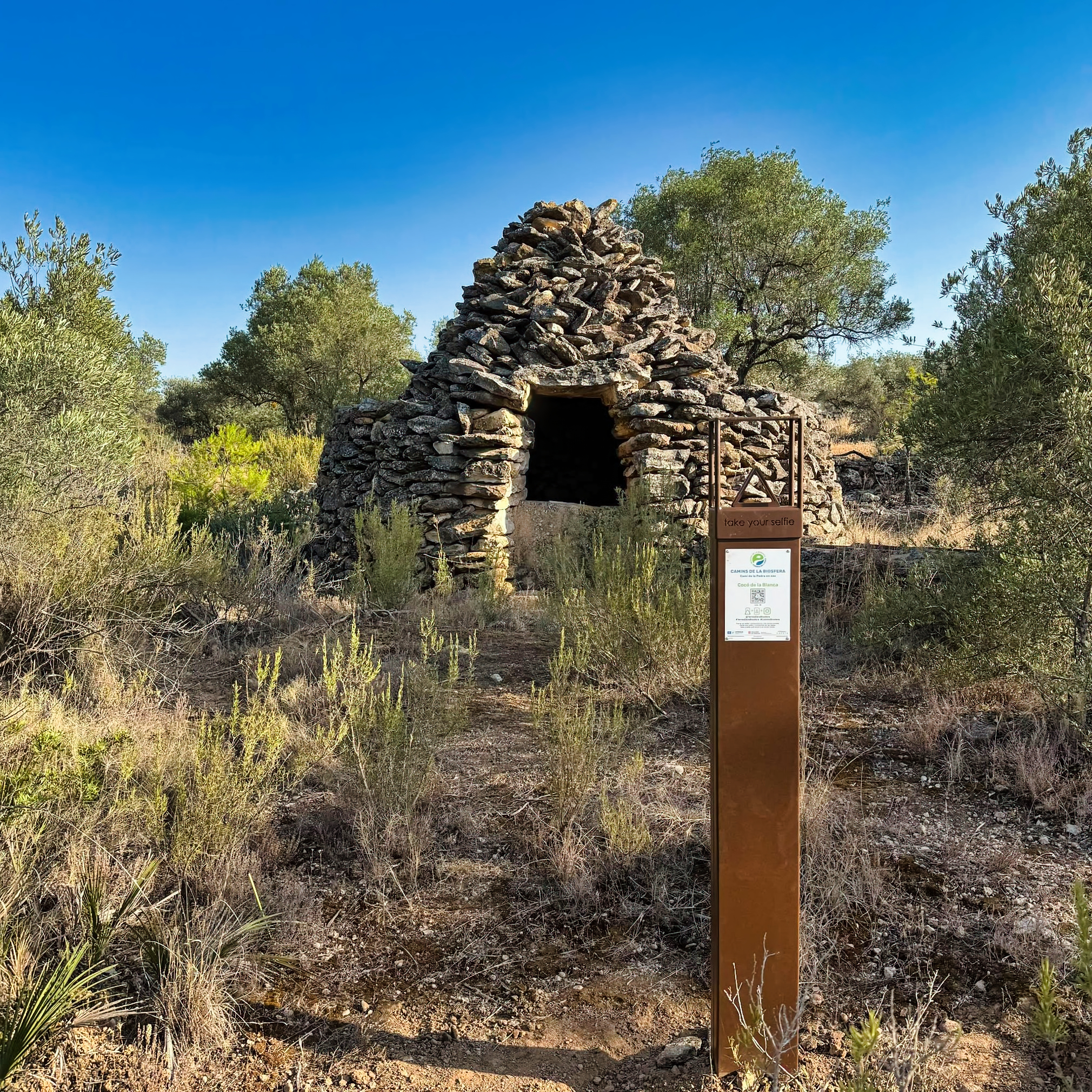 Cocó de la Blanca